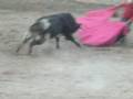 videos de taurisma cotahuasi