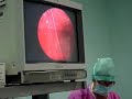 Stage Chirurgie est�tique