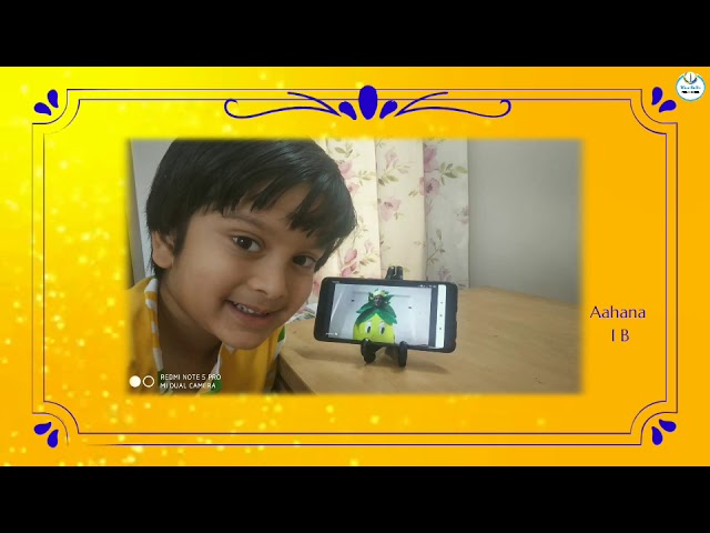 ‘Yummy Mango Day’!