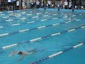 Festival 200m GNU Rev 4x200 livre 160 mais