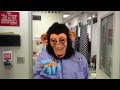 Dr. Bobo!