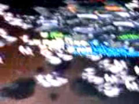 EoD2 Clan Hunting in 4-3 Wid Eic .::TNG::. And Never*Back*Down