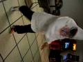 videos de Montez: America's Best Dance Crew.