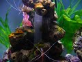 My Marine Biorb 2 My Marine Biorb 2