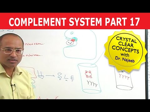 Complement System - Immunology - Part 17/18