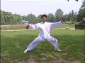 Chen style Zungu Taijiquan Erlu (Paochui)--Zhi Wuying