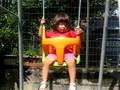 videos de Sofia dorme sull'altalena