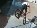 Bmx7