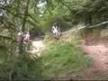 NPS Round 2 2007 Ae forest