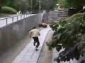 Urban Ninja Urban Ninja