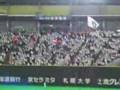 北海道日本ハムファイターズ 1-9