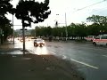 Elephant escapes from the circus