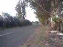 Coneja VS SRT stage II