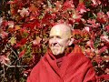 Monks Rules with Bhante Vimalaramsi
