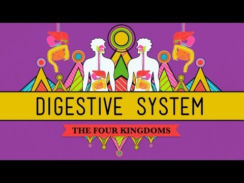 Digestion | i-Biology Digestion | i-Biology