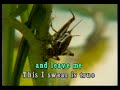 KARAOKE - Regine Velasquez - Say That You Love Me