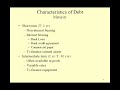 HMP 607 - 15. Debt