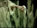 Love Story by Taylor Swift Love Story by Taylor Swift