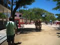 Cavalo de pau Mal Sucedido