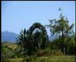 DeepaMiriam--Her-First-Telugu-Film-Song---