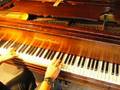 Bear It, Bear Down, Totally Bear, on Piano