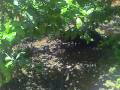 videos de VID00211.AVI