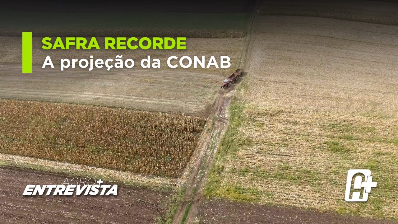 Safra de grãos 2025: projeções e armazenamento com Silvio Porto (Conab) | Agro+ Entrevista