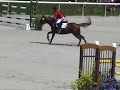 Mistrzostwa Europy Pony 2008