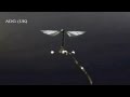 哈佛「機器蒼蠅」升空
