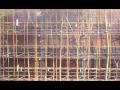 willow wall.mp4