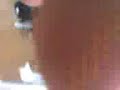 colegio salgui 1
