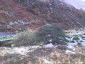 Battle of Glen Shiel