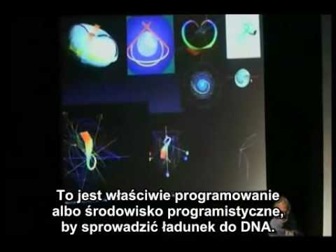 symbole - Ponoć Światło podzieliło się na 22 odrębne siły po to, by stworzyć wszechświat. 22 siły energetyczne manifestują się w naszym świecie jako 22 różne wzorce cz...