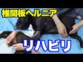 椎間板ヘルニア　家でするリハビリの様子　ほぼノーカット備忘録