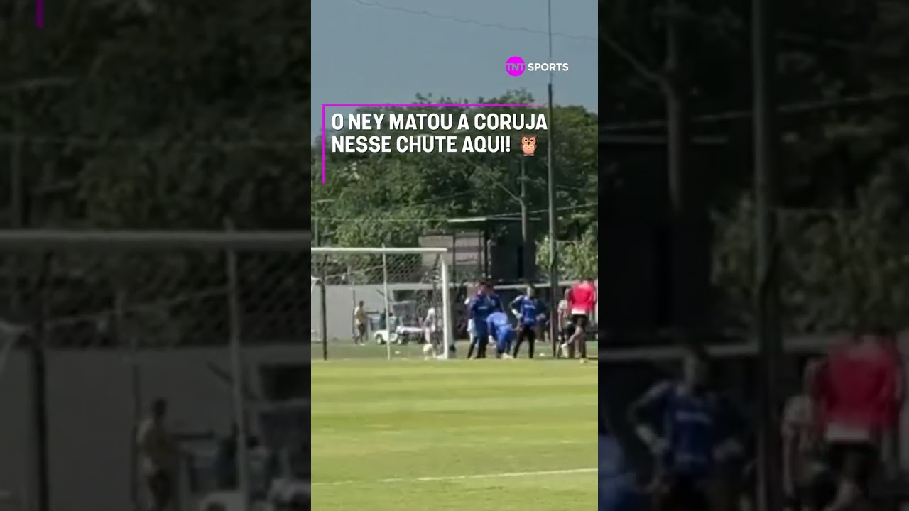 ELE TEM INTIMIDADE DEMAIS COM A PELOTA! ⚽🦉 #shorts