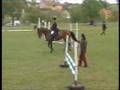 licence-priprava