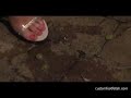 Squishing Grapes in public Squishing Grapes in public
