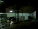 Lea de Noche