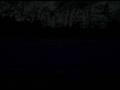 videos de Warrant montage