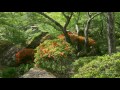 4K 御船山楽園 武雄温泉 佐賀県 Mifuneyama Garden, Kyushu JAPAN 武雄城