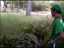Legend of Zelda