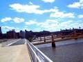 Roof Treats