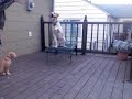 Ellie Commands.mov