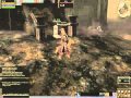 lineage 2 Tauti Teste