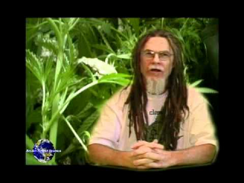 how to treat zinc deficiency in cannabis