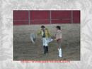 GFA Acad�micos de Elvas Temporada 2007