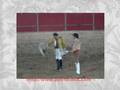 GFA Académicos de Elvas Temporada 2007
