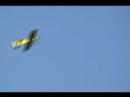 awsome RC airplane does stunts and hovers