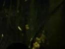 2die4-fightclub-barrel-cam-3.html