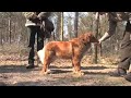 Bloodtrail first time Toller april 2007